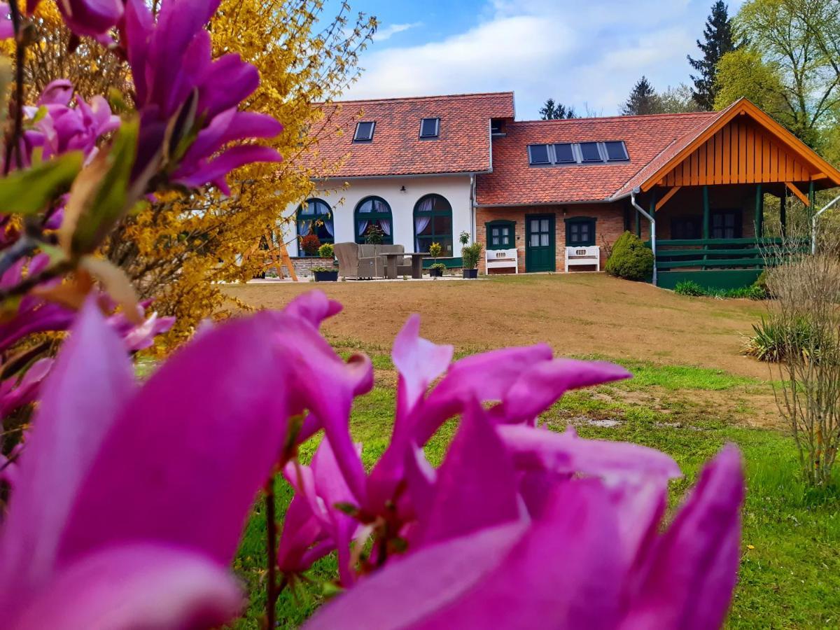 Feny-Szer Vendeghaz Orseg Hotell Szentgotthárd Exteriör bild